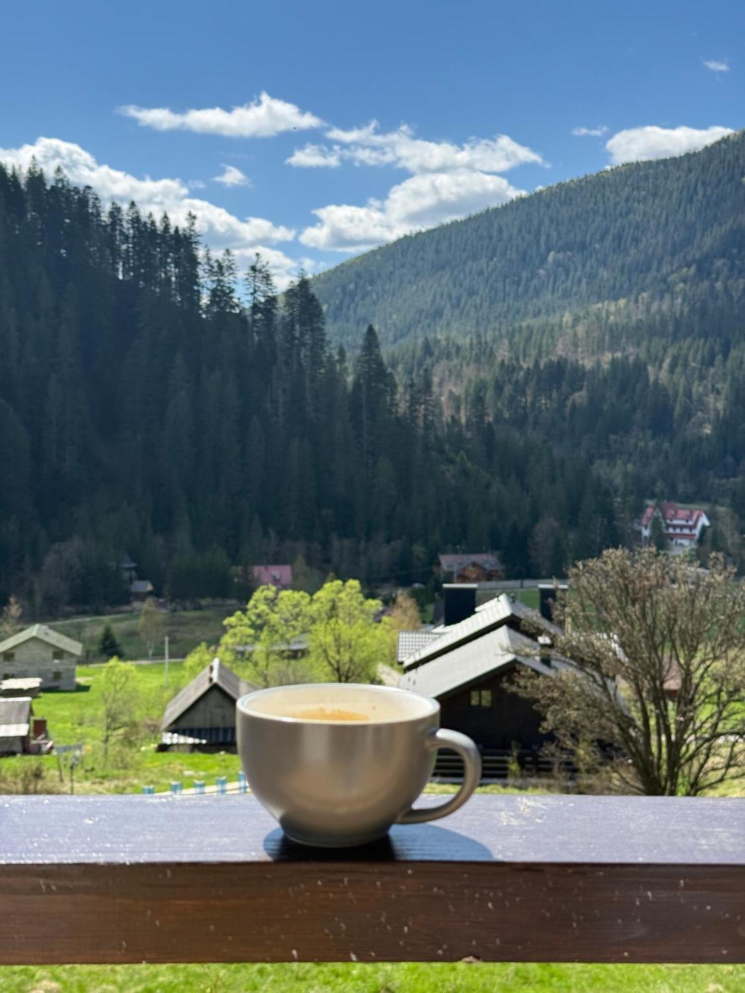 Residence Chalet & Nesh Tatariv Dış mekan fotoğraf